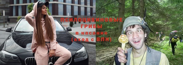 гашик Алзамай