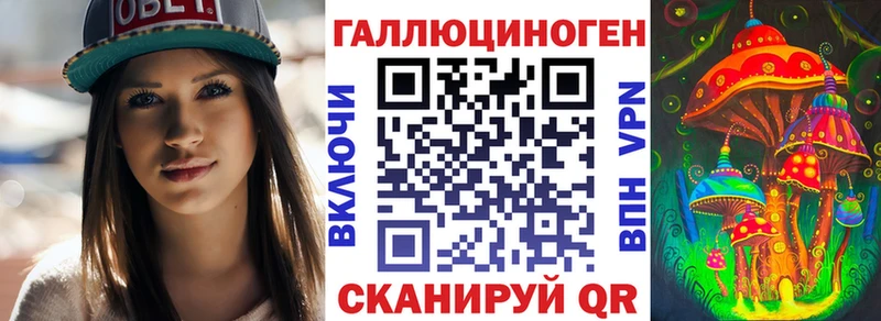 Галлюциногенные грибы прущие грибы  OMG ссылки  Дмитриев 